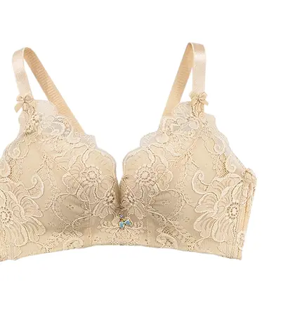 Áo Ngực Không Gọng Cao Cấp AN-133