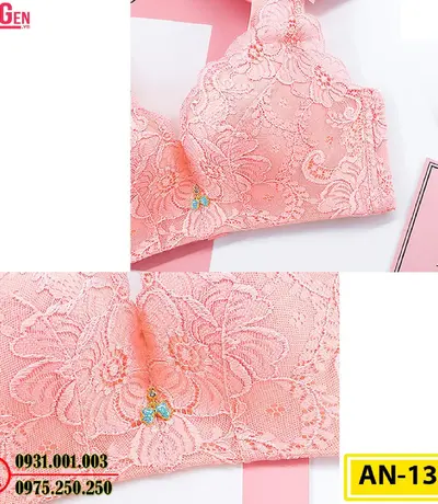 Áo Ngực Không Gọng Cao Cấp AN-133