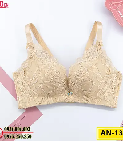 Áo Ngực Không Gọng Cao Cấp AN-133