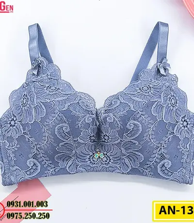 Áo Ngực Không Gọng Cao Cấp AN-133