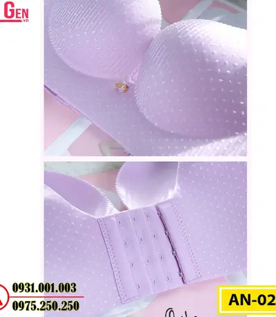 Áo Ngực Không Gọng Cao Cấp AN-027