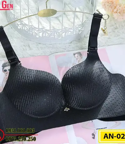 Áo Ngực Không Gọng Cao Cấp AN-027