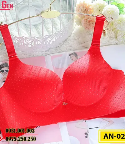 Áo Ngực Không Gọng Cao Cấp AN-027