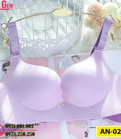 Áo Ngực Không Gọng Cao Cấp AN-027