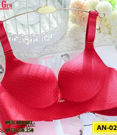 Áo Ngực Không Gọng Cao Cấp AN-027