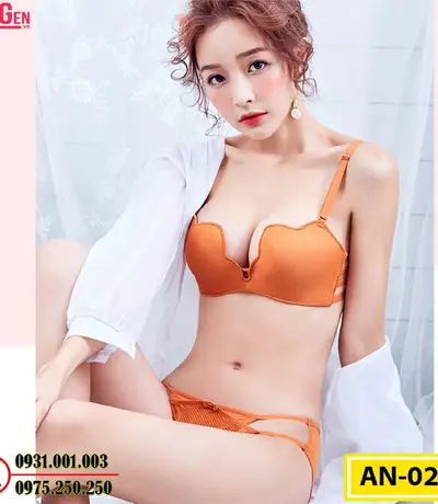 Áo Lót Nâng Ngực Cao Cấp AN-028