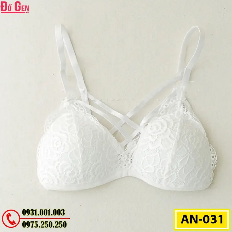 Áo Ngực Cao Cấp AN-031