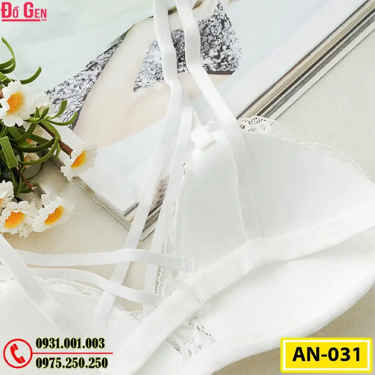 Áo Ngực Cao Cấp AN-031