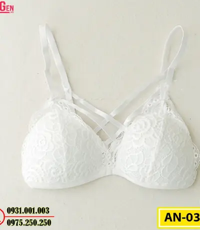 Áo Ngực Cao Cấp AN-031