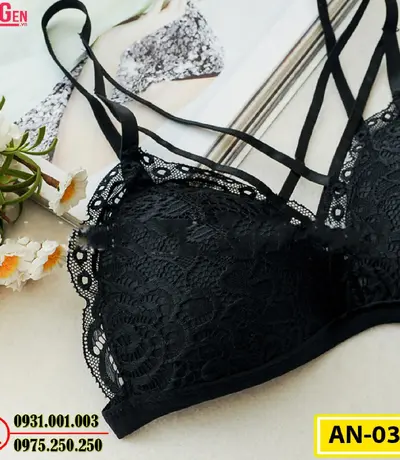 Áo Ngực Cao Cấp AN-031