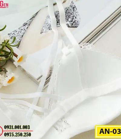 Áo Ngực Cao Cấp AN-031