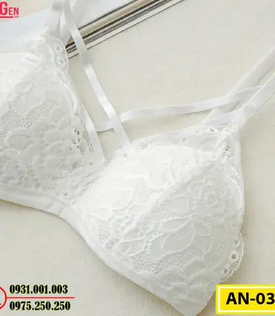 Áo Ngực Cao Cấp AN-031