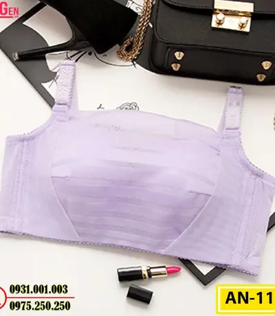 Áo Ngực Không Gọng Cao Cấp AN-114