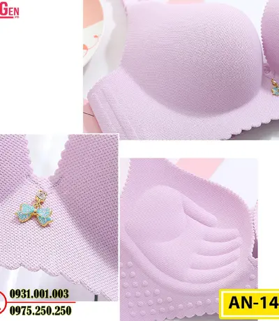 Áo Ngực Bản To Cao Cấp Cod: AN-143