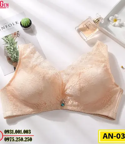 Áo Ngực Bản To Cao Cấp Cod: AN-033