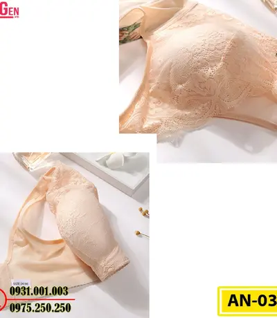 Áo Ngực Bản To Cao Cấp Cod: AN-033