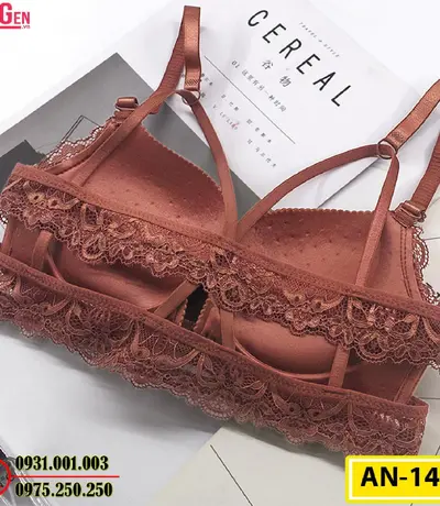 Áo Ngực Không Gọng Cao Cấp AN-144