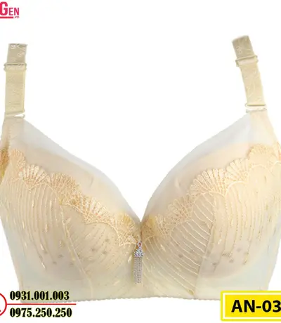 Áo Ngực Bản To Cao Cấp Cod: AN-034