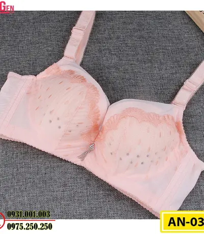 Áo Ngực Bản To Cao Cấp Cod: AN-034