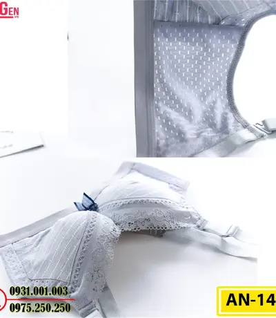 Áo Lót Độn Ngực Không Gọng AN-145