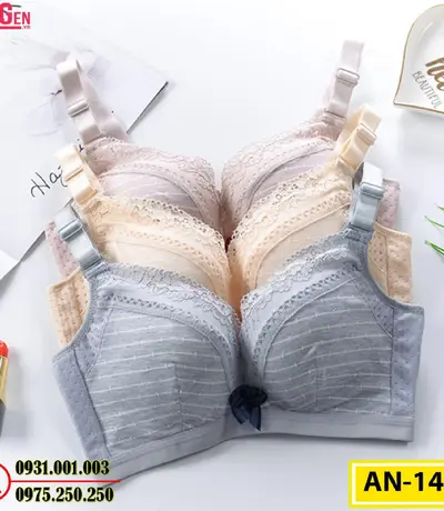 Áo Lót Độn Ngực Không Gọng AN-145