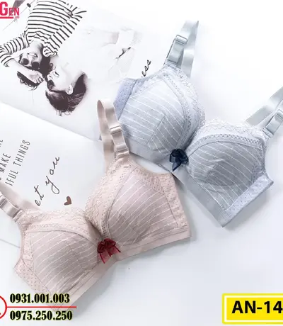 Áo Lót Độn Ngực Không Gọng AN-145