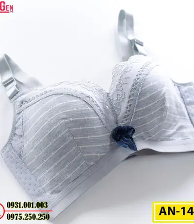 Áo Lót Độn Ngực Không Gọng AN-145