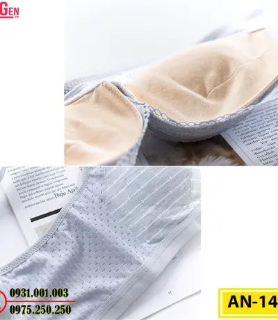 Áo Lót Độn Ngực Không Gọng AN-145