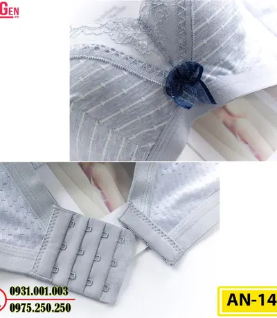 Áo Lót Độn Ngực Không Gọng AN-145