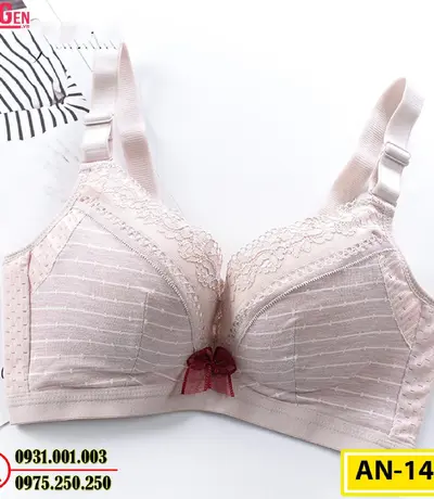 Áo Lót Độn Ngực Không Gọng AN-145