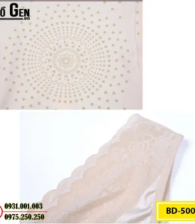 Bộ Đồ Lót Định Hình - Đồ Lót Gen Định Hình Thu Nhỏ Vòng Eo (Cod: BD-5005)