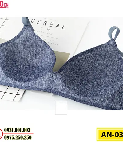 Áo Ngực Không Gọng Cao Cấp AN-035
