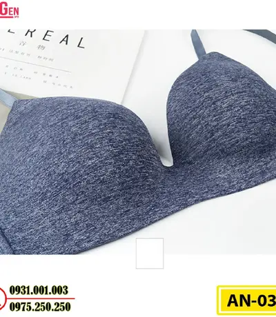 Áo Ngực Không Gọng Cao Cấp AN-035