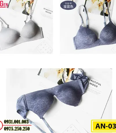 Áo Ngực Không Gọng Cao Cấp AN-035