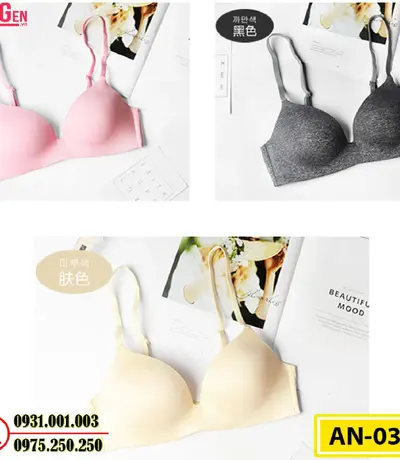 Áo Ngực Không Gọng Cao Cấp AN-035