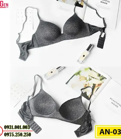 Áo Ngực Không Gọng Cao Cấp AN-035