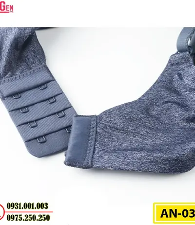 Áo Ngực Không Gọng Cao Cấp AN-035