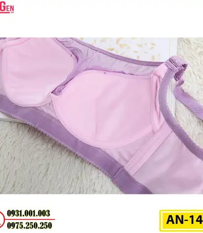 Áo Ngực Không Gọng Cao Cấp AN-147