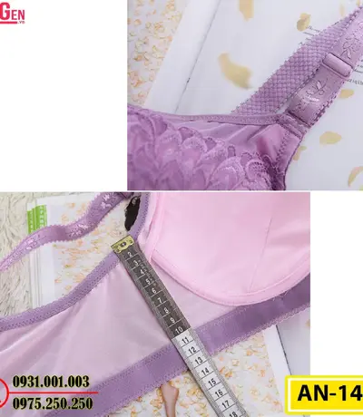 Áo Ngực Không Gọng Cao Cấp AN-147