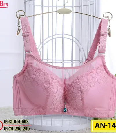 Áo Ngực Không Gọng Cao Cấp AN-147