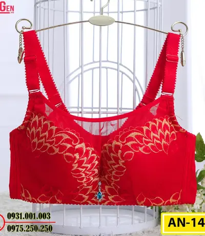 Áo Ngực Không Gọng Cao Cấp AN-147