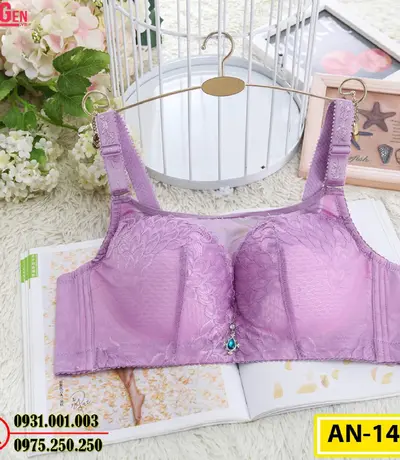 Áo Ngực Không Gọng Cao Cấp AN-147