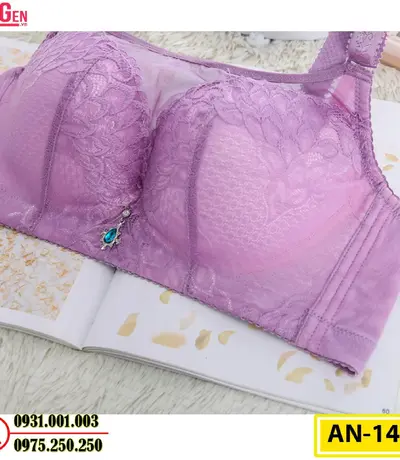 Áo Ngực Không Gọng Cao Cấp AN-147
