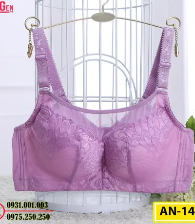 Áo Ngực Không Gọng Cao Cấp AN-147