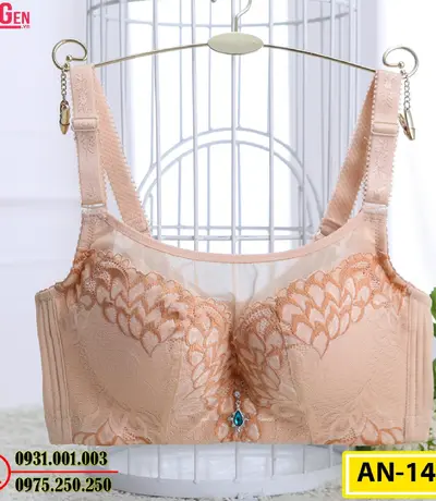 Áo Ngực Không Gọng Cao Cấp AN-147