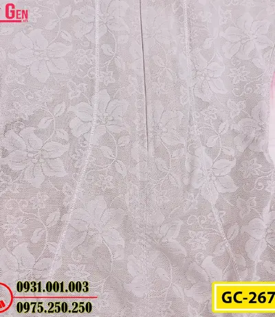 Đồ Lót Định Hình - Quần Áo Gen Định Hình Bikini Liền Thân Cao Cấp (Cod: GC-2678)