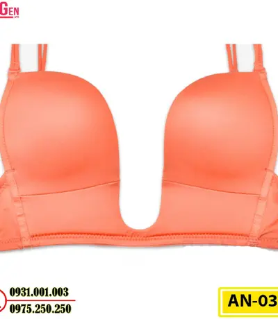 Áo Lót Ngực Cho Bạn Vòng Ngực Hoàn Hảo Cod: AN-037