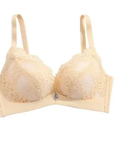 Áo Ngực Bản To Cao Cấp Cod: AN-148