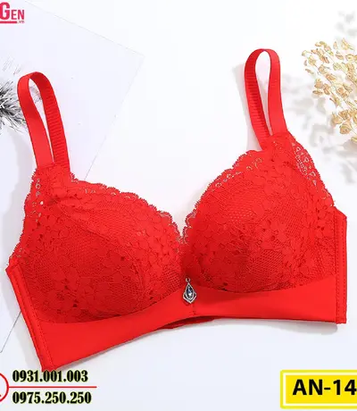 Áo Ngực Bản To Cao Cấp Cod: AN-148