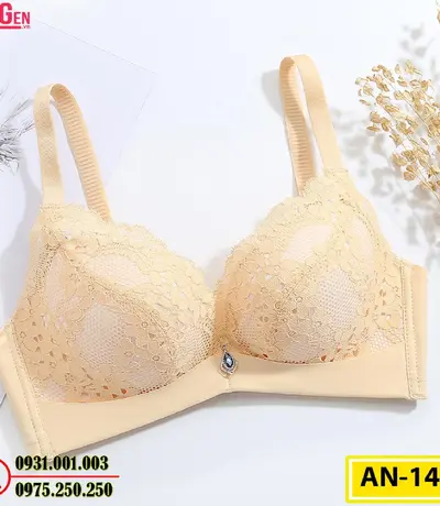 Áo Ngực Bản To Cao Cấp Cod: AN-148